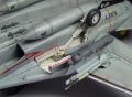 Hasegawa 1/72 F-14D VF-31 Tomcatters