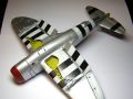 Tamiya 1/48 P-47D Thunderbolt