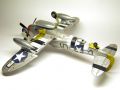 Tamiya 1/48 P-47D Thunderbolt