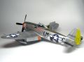 Tamiya 1/48 P-47D Thunderbolt