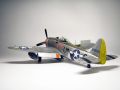 Tamiya 1/48 P-47D Thunderbolt