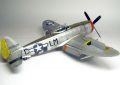 Tamiya 1/48 P-47D Thunderbolt