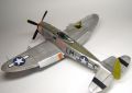 Tamiya 1/48 P-47D Thunderbolt