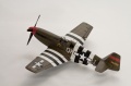 ICM 1/48 P-51B Mustang 43-6898 QP-J, The Deacon