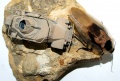 ICM 1/72 Sd.Kfz.223 - ,   