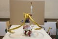 FG5437 Sailor Moon 1/4