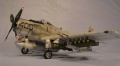 Zoukei-Mura 1/32 A-1H Skyraider -   ?