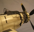 Zoukei-Mura 1/32 A-1H Skyraider -   ?