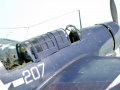 Halinski 1/33  SB2C-4 Helldiver -  