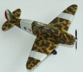 Azur 1/72 Nardi FN.305, Regia Aeronautica