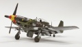 Tamiya 1/48 P-51D-5-NA Mustang 44-13318 Frenesi