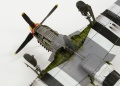 Tamiya 1/48 P-51D-5-NA Mustang 44-13318 Frenesi