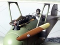 Gavia 1/48 Albatros W.4   