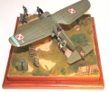  Mirage Hobby 1/48 PZL-11C -  