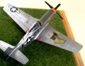 Hasegawa 1/48 P-51D Mustang