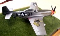 Hasegawa 1/48 P-51D Mustang