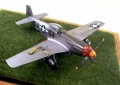 Hasegawa 1/48 P-51D Mustang