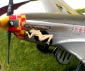 Hasegawa 1/48 P-51D Mustang