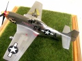 Hasegawa 1/48 P-51D Mustang