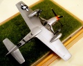 Hasegawa 1/48 P-51D Mustang