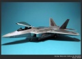 Hasegawa 1/48 F-22 Raptor -    