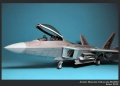 Hasegawa 1/48 F-22 Raptor -    