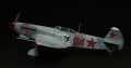 ARK-models 1/48 -9  