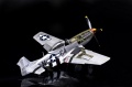 Dragon 1/32 P-51D-10 -  