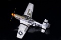 Dragon 1/32 P-51D-10 -  