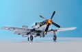 Dragon 1/32 P-51D-10 -  