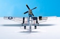 Dragon 1/32 P-51D-10 -  