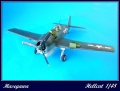 Hasegawa 1/48 F-6F Hellcat