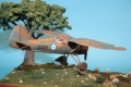  Mirage Hobby 1/48 PZL-24F - , , 