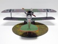 Eduard 1/48 Albatros D.V   