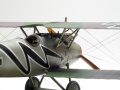 Eduard 1/48 Albatros D.V   