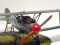 Eduard 1/48 Albatros D.V   