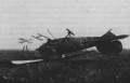 Eduard 1/48 Albatros D.V   