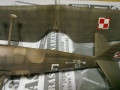 Mirage Hobby 1/48 PZL P.11C