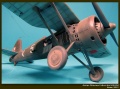 Mirage Hobby 1/48 PZL P.11C