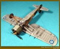 Mirage Hobby 1/48 PZL P.24G