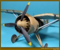 Mirage Hobby 1/48 PZL P.24G