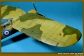 Mirage Hobby 1/48 PZL P.24G