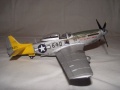 ICM 1/48 P-51D Mustang