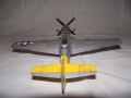 ICM 1/48 P-51D Mustang