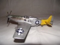 ICM 1/48 P-51D Mustang