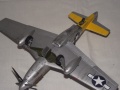 ICM 1/48 P-51D Mustang