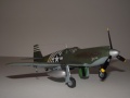 ICM 1/48 P-51 Mustang