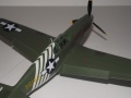 ICM 1/48 P-51 Mustang