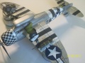 TAMIYA 1/48 P-47D Thunderbolt Bubbletop