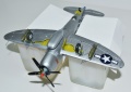 Tamiya 1/72 Thunderbolt P-47D-30 79th FG